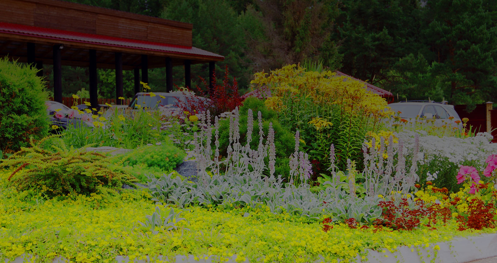 Creative Landscaping Is On Us 