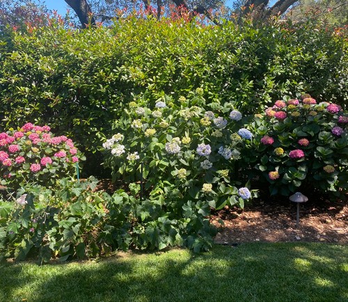 Let Us Make Gardening Easy for You 