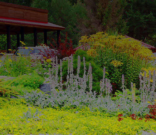 Creative Landscaping Is On Us 