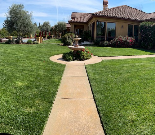 Delivering Green & Healthy Lawn 