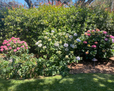 Zaragoza Landscape Management